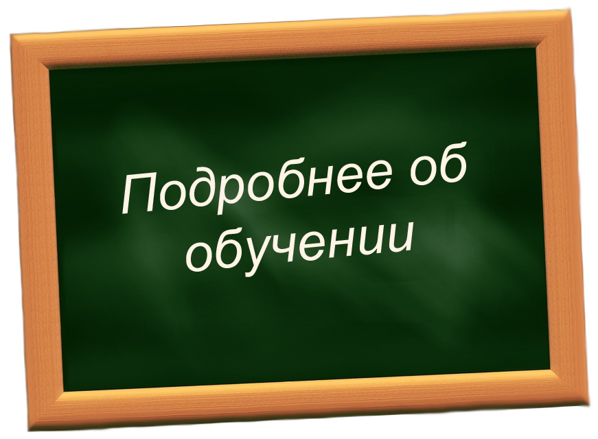 Приступить к обучению